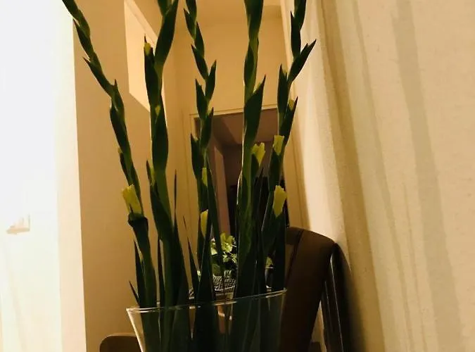 Гостевой дом Lu.lu And 3*